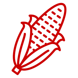 Maíz